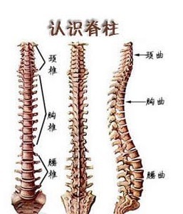 脊柱炎治疗方法